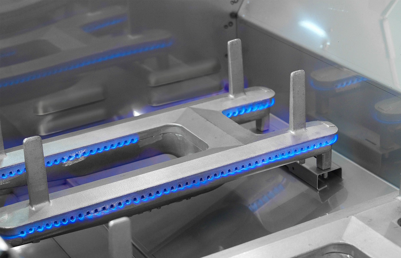 Fire Magic Echelon Diamond Built-In & Portable Grills