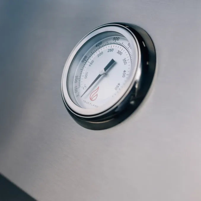 TrueFlame TFE Built-In Gas Grills