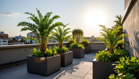 Rooftop terrace with rectangular planters and lush greenery