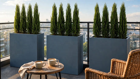 Three tall slate blue rectangular fiberglass planters with columnar evergreens forming a privacy screen beside a coffee table on a city balcony