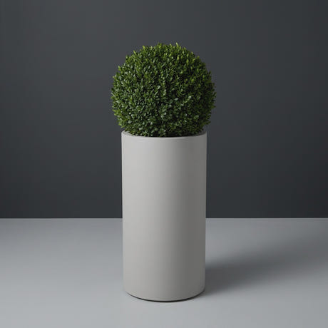 Corry Cylinder fiberglass planter in Matte Cement Grey, planted with clipped boxwood ball, studio