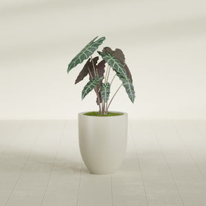Indoor