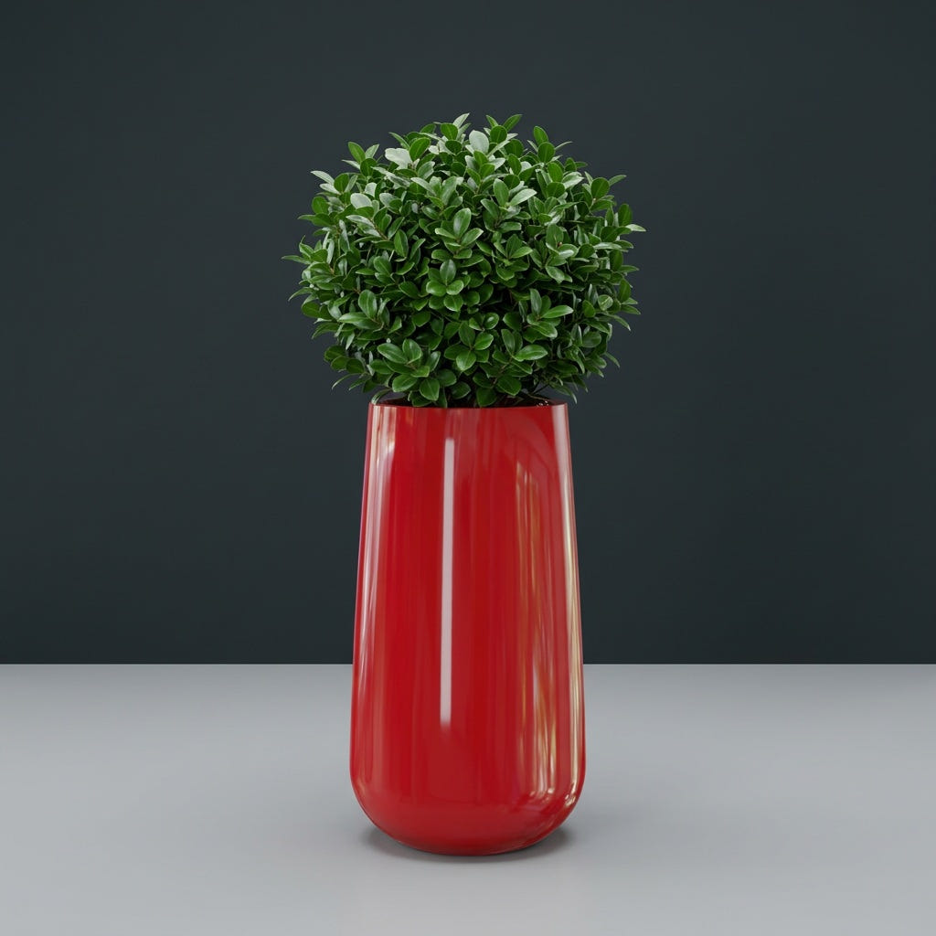 Saigon Tapered Round fiberglass planter in Gloss Red, planted with compact ficus, studio