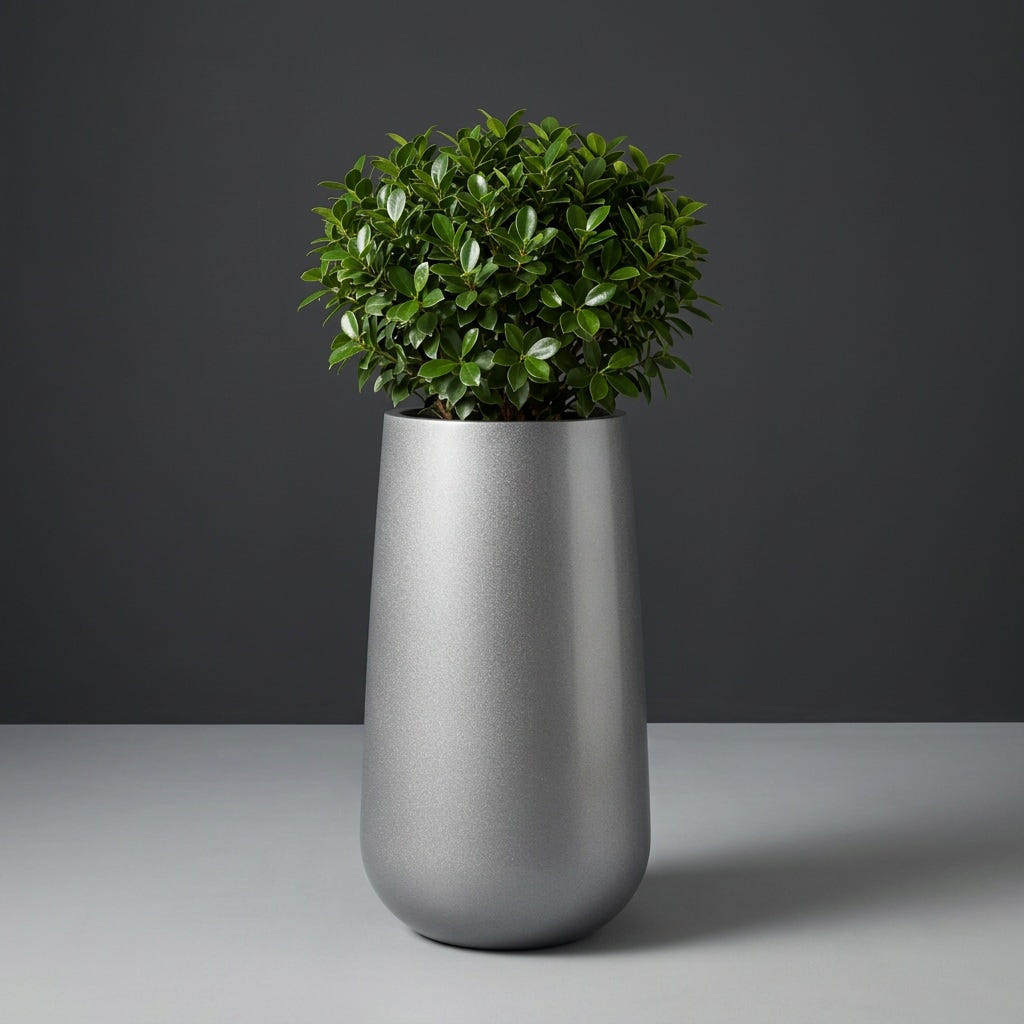 Saigon Tapered Round fiberglass planter in Metallic Silver, planted with compact ficus, studio