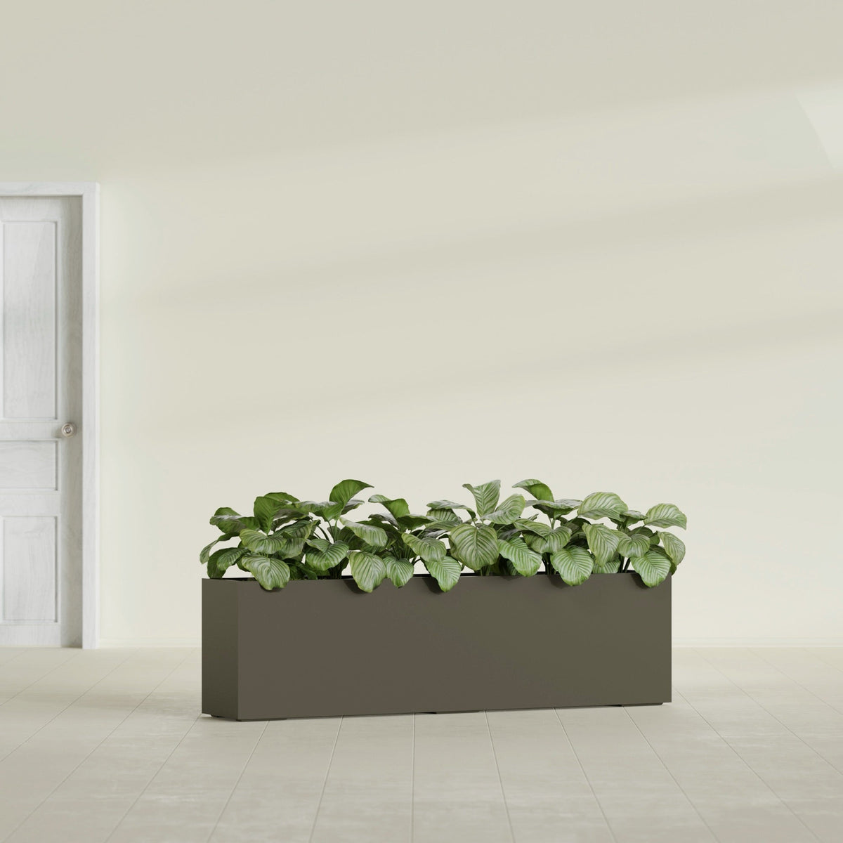 Large outdoor planters