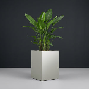 Corner