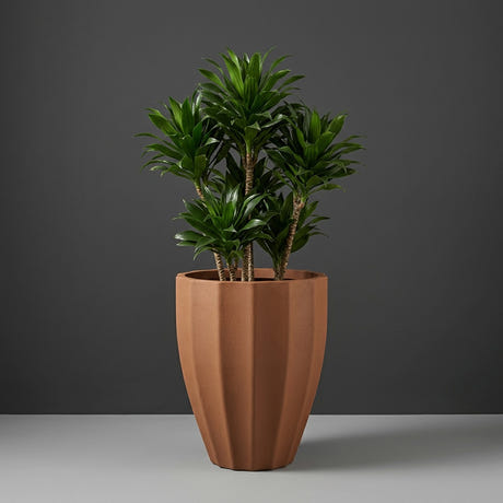Alicante Fluted fiberglass planter in Metallic Bronze, planted with single dracaena on woody canes, studio