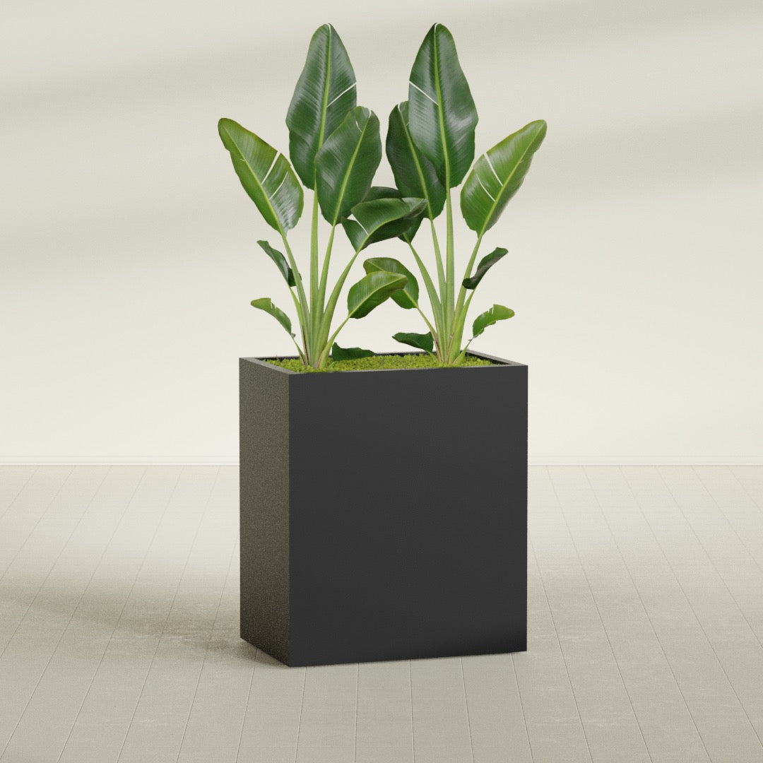 Darwin rectangular fiberglass planter, planted, in a sunlit interior