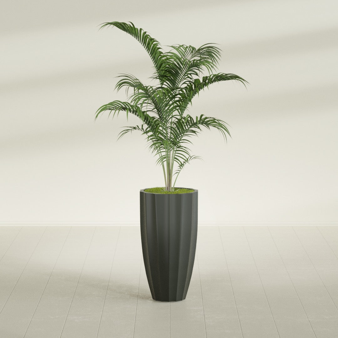 San Jose Tall Fluted fiberglass planter in Matte Charcoal, shown planted, in a sunlit interior