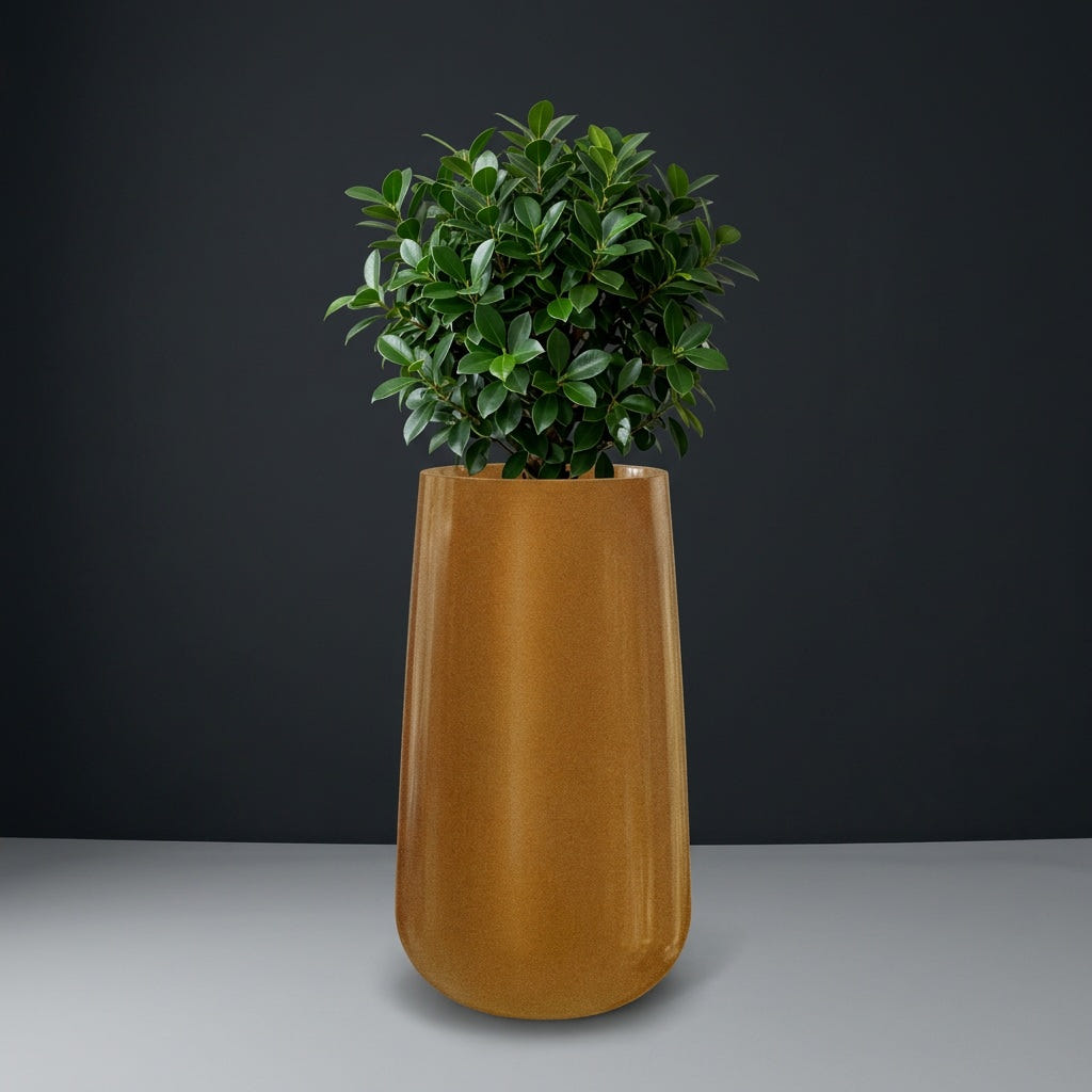 Saigon Tapered Round fiberglass planter in Metallic Bronze, planted with compact ficus, studio
