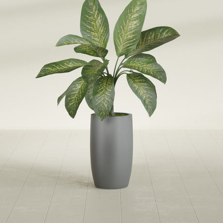 Lisbon Tall Round fiberglass planter in Matte Gunmetal, shown planted, in a sunlit interior