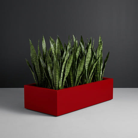 Antwerp Rectangular fiberglass planter in Gloss Red, planted with row of tall snake plants, studio