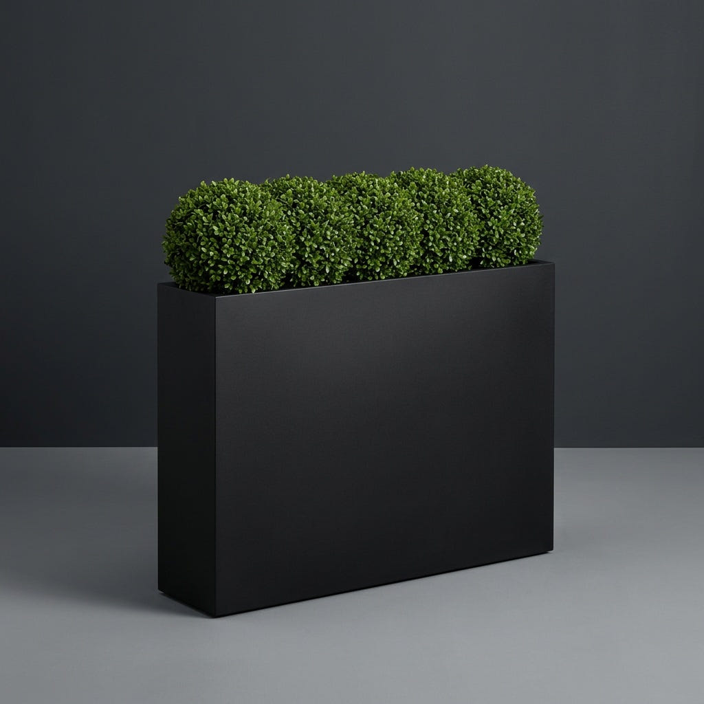 Amesbury Narrow Rectangular fiberglass planter in Matte Black, planted with row of clipped boxwood balls, studio