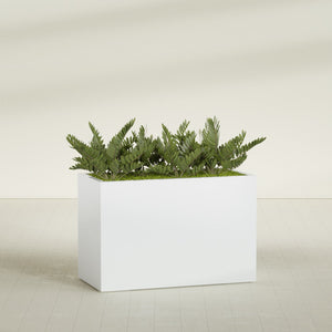 Corner