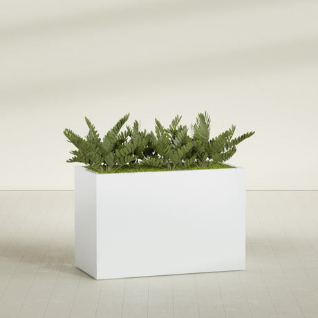 Brisbane Corner fiberglass planter in Matte Bright White, shown planted, in a sunlit interior