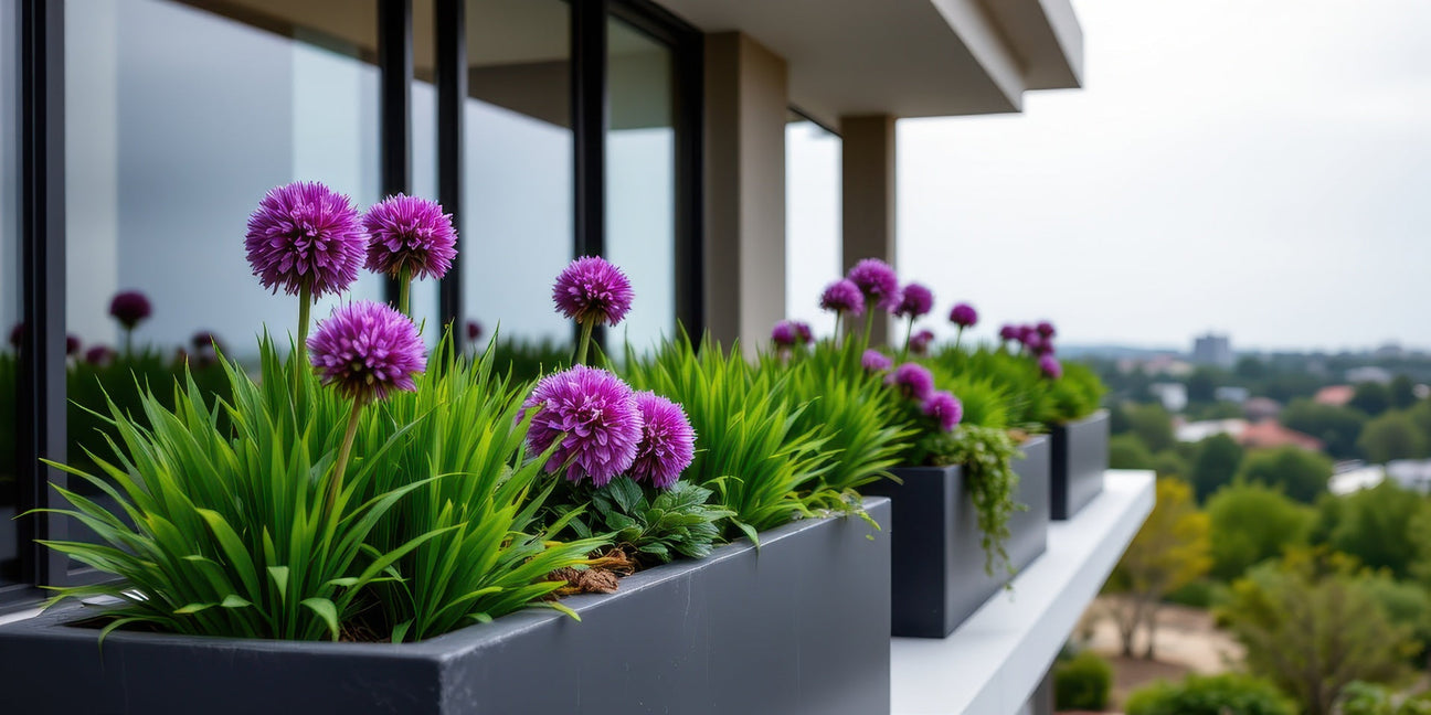 Black fiberglass trough planters with allium on a modern balcony