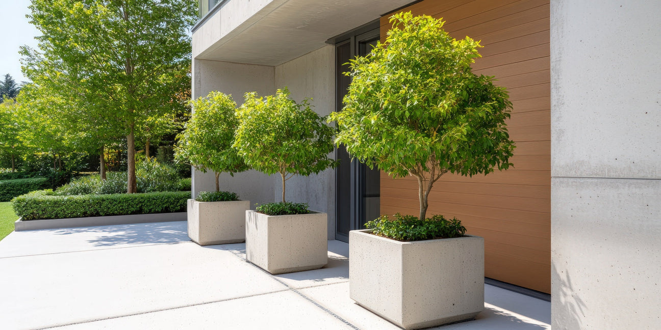 Matching tree planters at a modern commercial building entrance