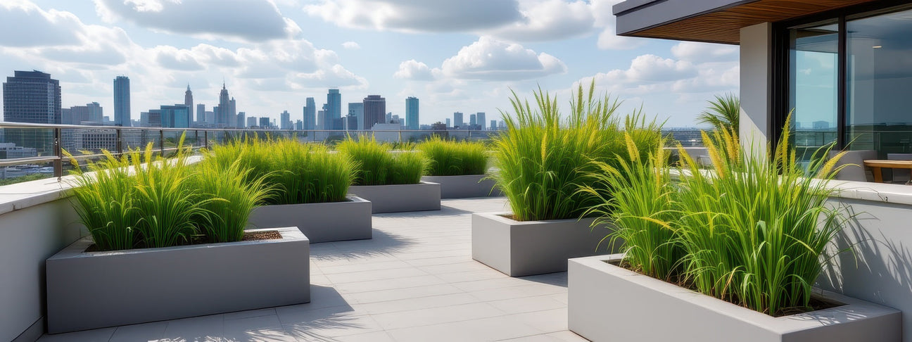 Rooftop terrace with rectangular planters and a city skyline
