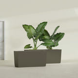 Panama Tapered Rectangular fiberglass planter in Matte Bronze, shown planted, in a sunlit interior