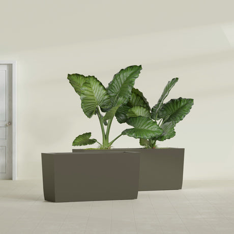 Panama Tapered Rectangular fiberglass planter in Matte Bronze, shown planted, in a sunlit interior