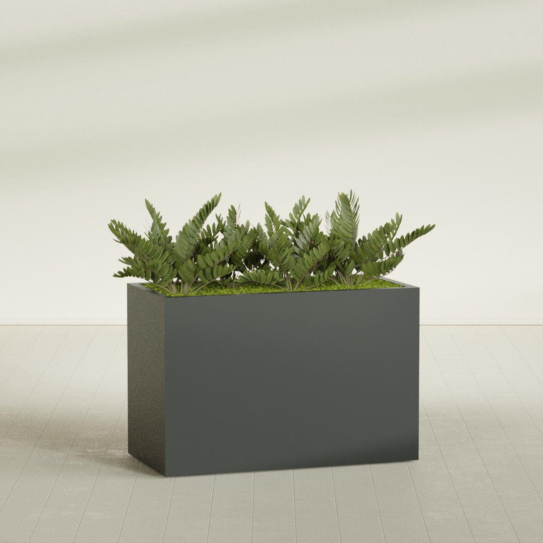 Brisbane Corner fiberglass planter in Matte Charcoal, shown planted, in a sunlit interior