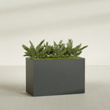 Brisbane Corner fiberglass planter in Matte Charcoal, shown planted, in a sunlit interior
