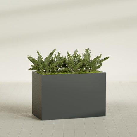Brisbane Corner fiberglass planter in Matte Charcoal, shown planted, in a sunlit interior