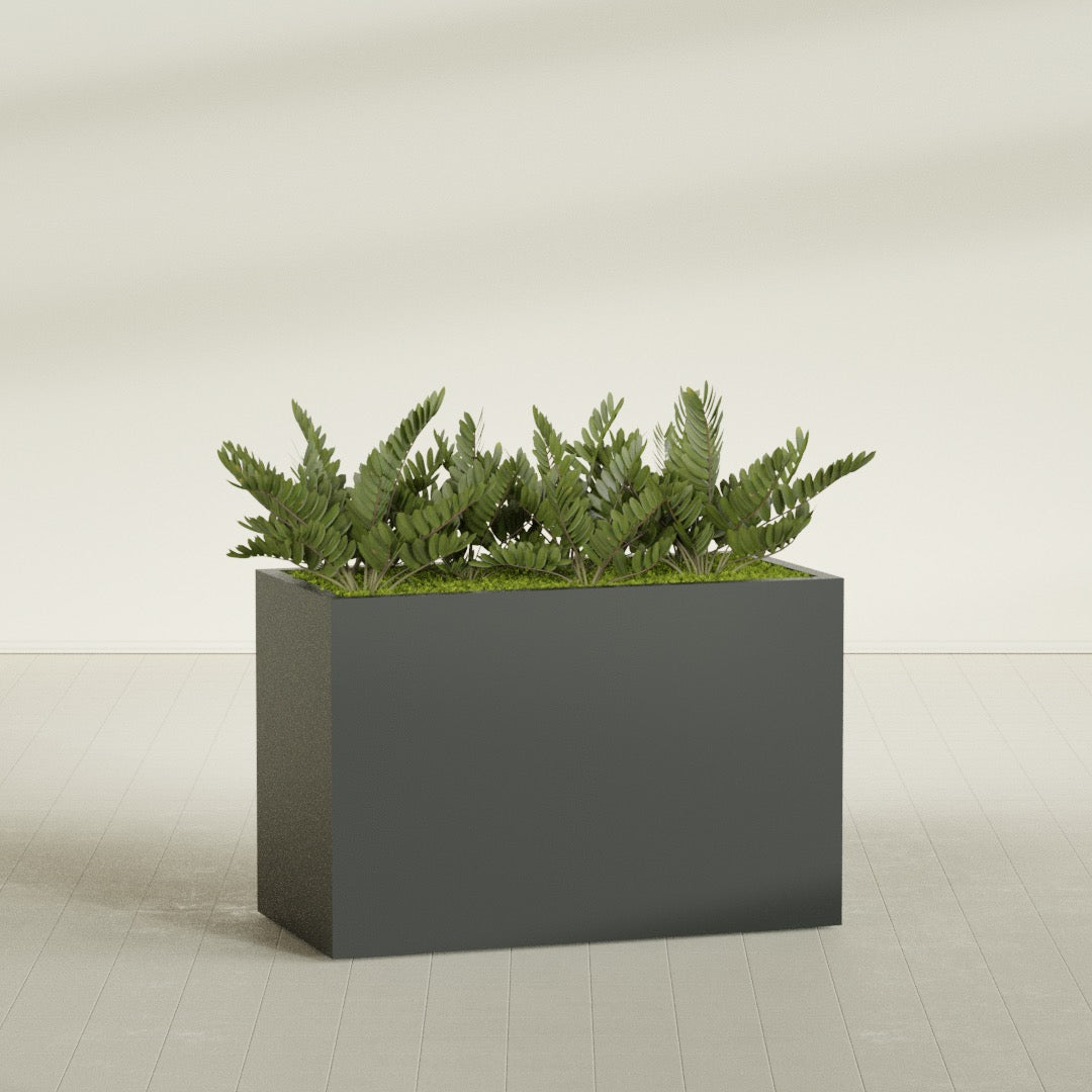 Brisbane Rectangular fiberglass planter in Matte Charcoal, shown planted, in a sunlit interior