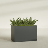 Brisbane Rectangular fiberglass planter in Matte Charcoal, shown planted, in a sunlit interior