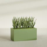 Granada fiberglass planter in Satin Green, shown planted, in a sunlit interior
