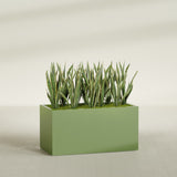 Granada fiberglass planter in Satin Green, shown planted, in a sunlit interior