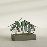 Antwerp Rectangular fiberglass planter in Matte Bronze, shown planted, in a sunlit interior