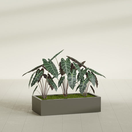 Antwerp Rectangular fiberglass planter in Matte Bronze, shown planted, in a sunlit interior