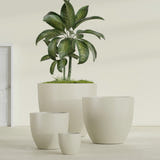 Wannsee Round fiberglass planter in Satin Beige, size range, in a sunlit interior