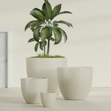 Wannsee Round fiberglass planter in Satin Beige, size range, in a sunlit interior