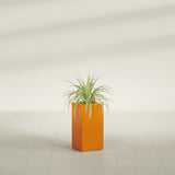 Hollywood Narrow Rectangular fiberglass planter in Gloss Tangerine, shown planted, in a sunlit interior