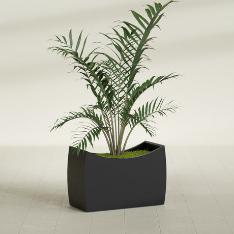 Seoul Curved fiberglass planter in Matte Black, shown planted, in a sunlit interior