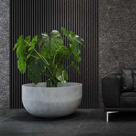 Roco low round Cosapots fiberglass planter, shown planted with a monstera in an interior setting.