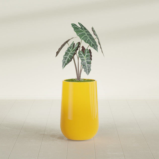 Hayden Urn fiberglass planter in Gloss Saffron, planted, in a sunlit interior