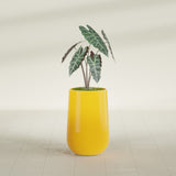 Hayden Urn fiberglass planter in Gloss Saffron, shown planted, in a sunlit interior