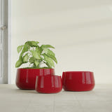 Short Hayden Bowl fiberglass planter in Gloss Red, size range, in a sunlit interior