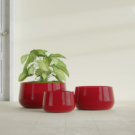Short Hayden Bowl fiberglass planter in Gloss Red, size range, in a sunlit interior