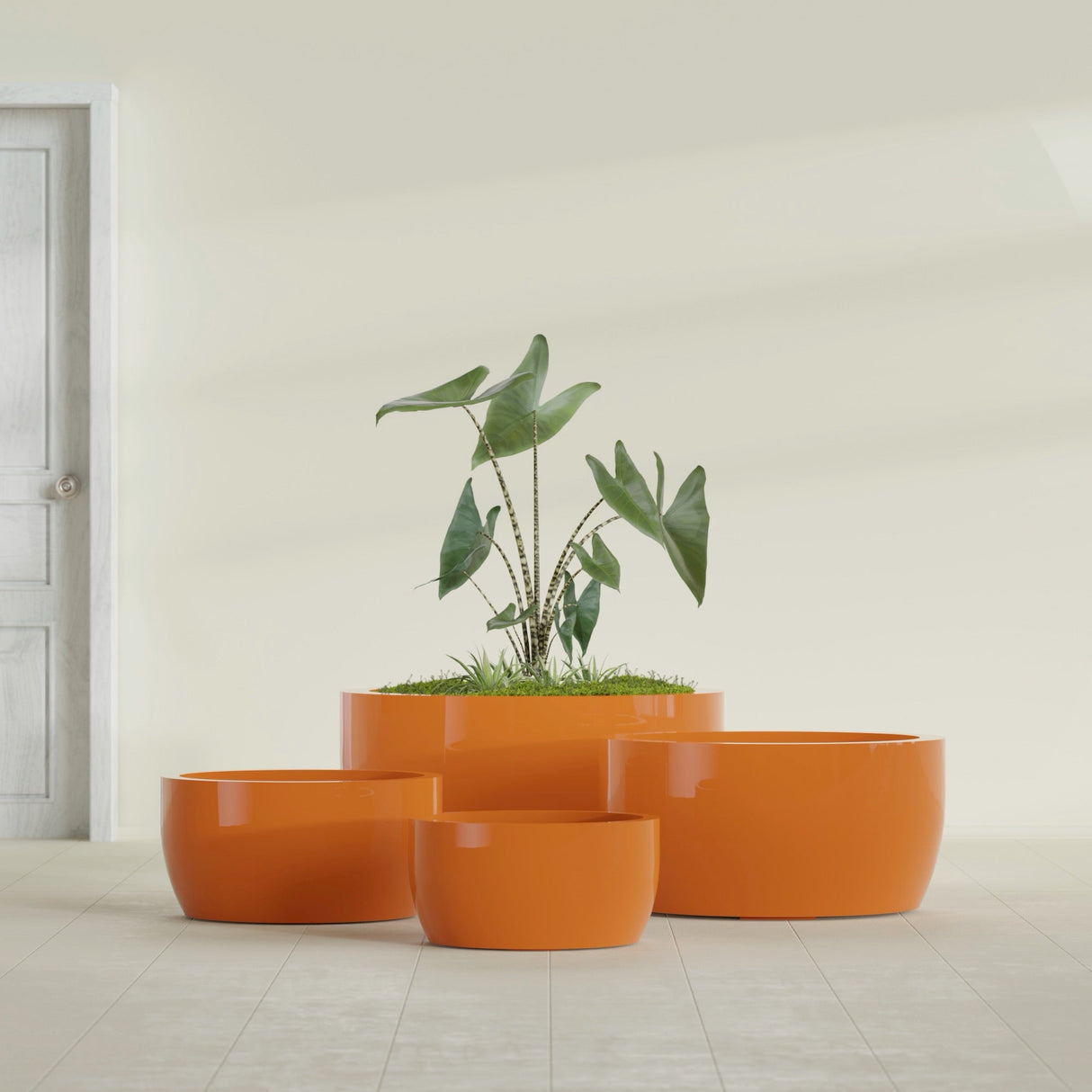Casablanca Bowl fiberglass planter in Gloss Tangerine, size range, in a sunlit interior
