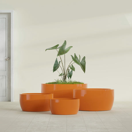 Casablanca Bowl fiberglass planter in Gloss Tangerine, size range, in a sunlit interior