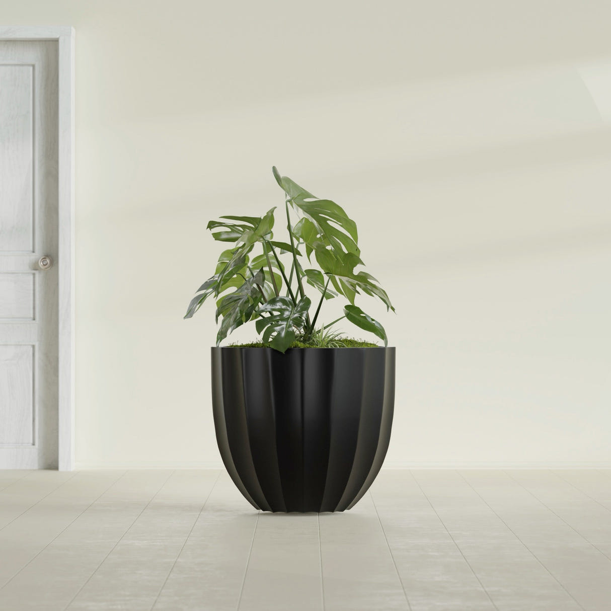 Santa Barbara Fluted Round fiberglass planter in Matte Black, shown planted, in a sunlit interior