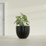 Santa Barbara Fluted Round fiberglass planter in Matte Black, shown planted, in a sunlit interior