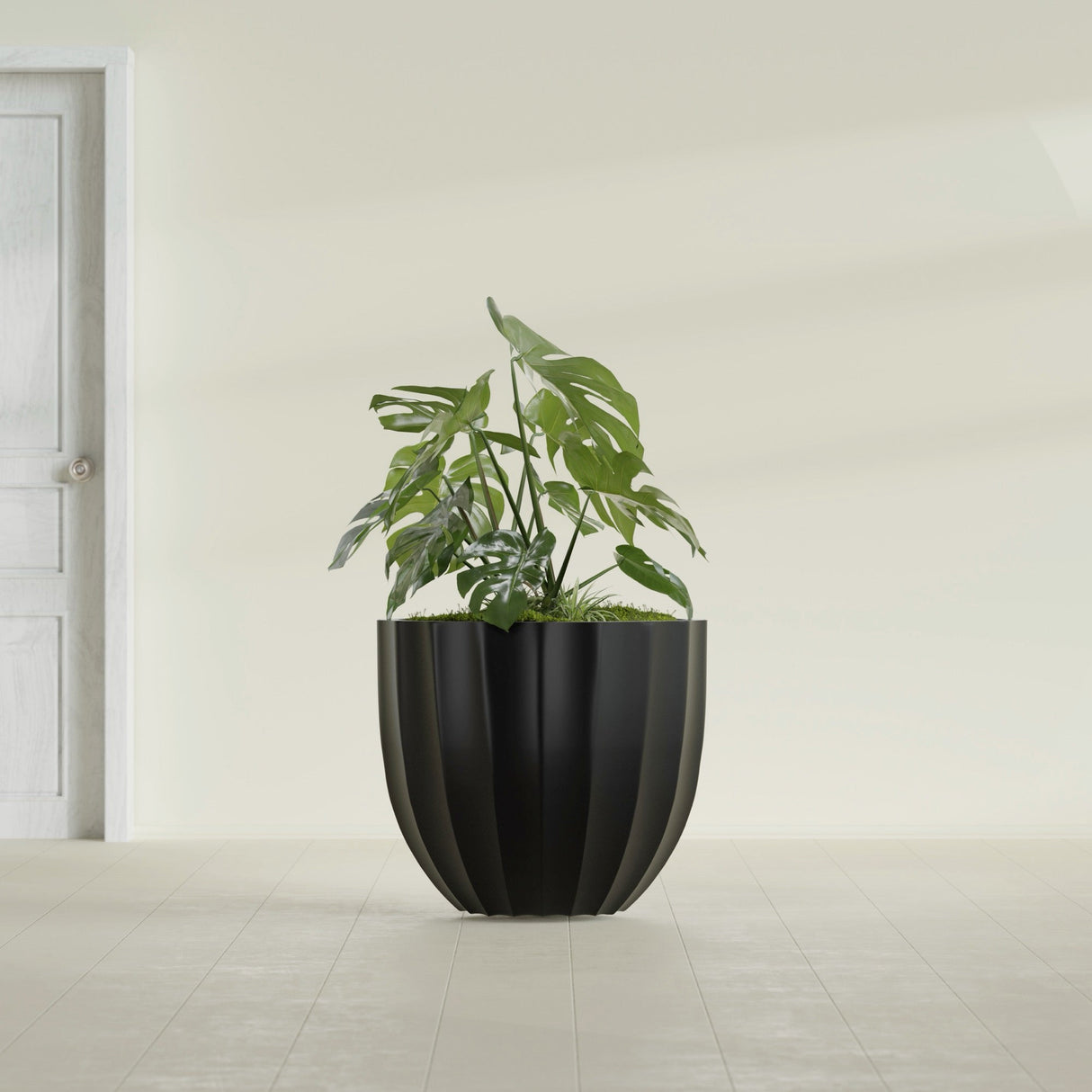 Santa Barbara Fluted Round fiberglass planter in Matte Black, shown planted, in a sunlit interior