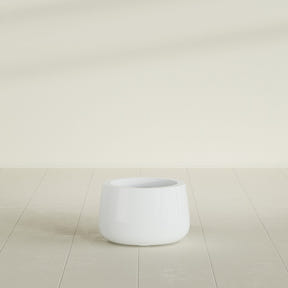 Short Hayden Bowl Planter in Matte Bright White, 12"D × 7"H, shown empty