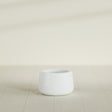 Short Hayden Bowl Planter in Matte Bright White, 12"D × 7"H, shown empty