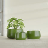 Short Hayden Bowl fiberglass planter in Satin Green, size range, in a sunlit interior